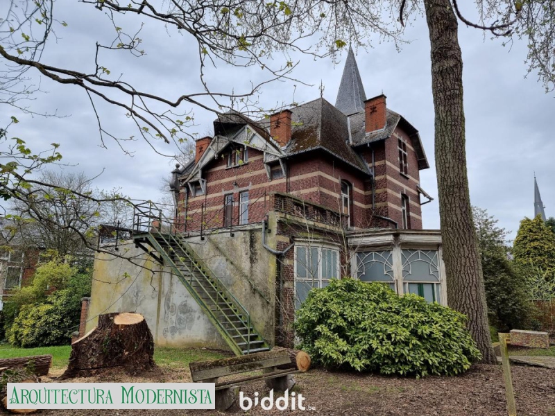 (Foto: https://www.biddit.be/fr/catalog/detail/216071)