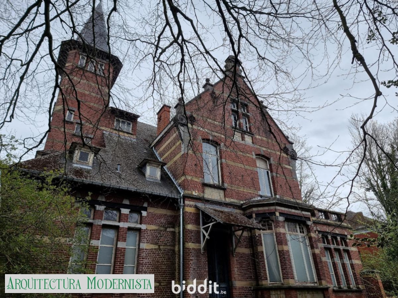 ) (Foto: https://www.biddit.be/fr/catalog/detail/216071) )